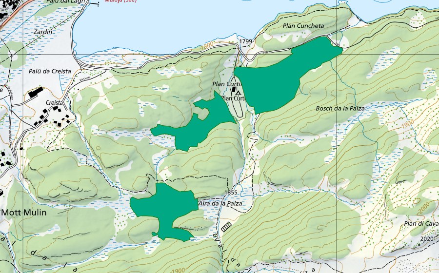 swisstopo national map showing the protected perimeter of Passo del Maloja/Aira da la Palza (Fen)