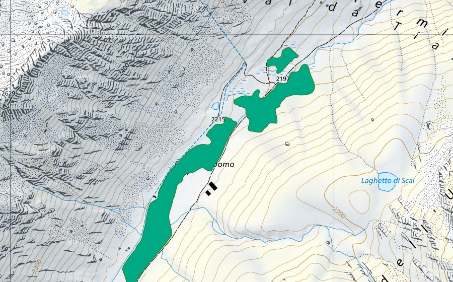 Carte nationale swisstopo avec le périmètre protégé de Passo dell'Uomo (Bas-marais)