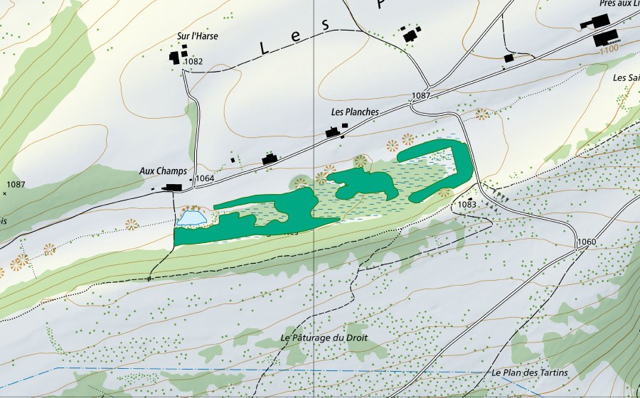 swisstopo national map showing the protected perimeter of Pâturage du Droit (Fen)