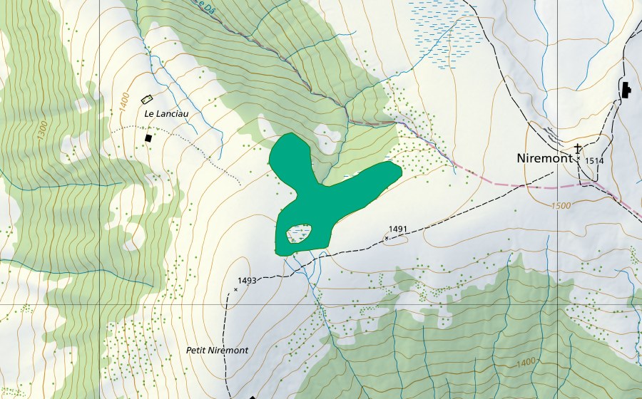 Carte nationale swisstopo avec le périmètre protégé de Petit Niremont (Bas-marais)