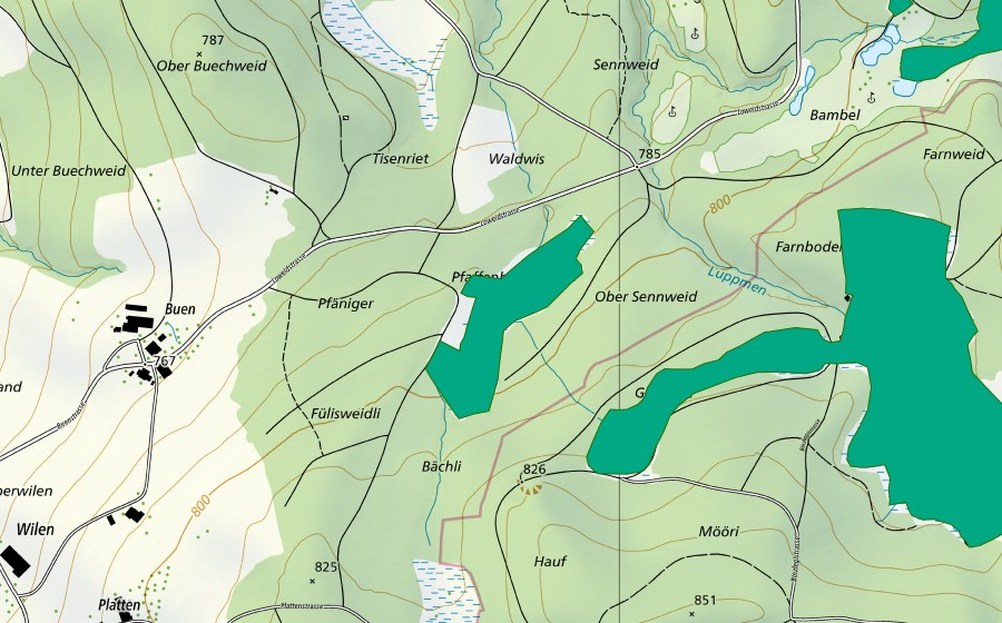 Landeskarte swisstopo mit dem Schutzperimeter von Pfaffenbrunnen (Flachmoor)