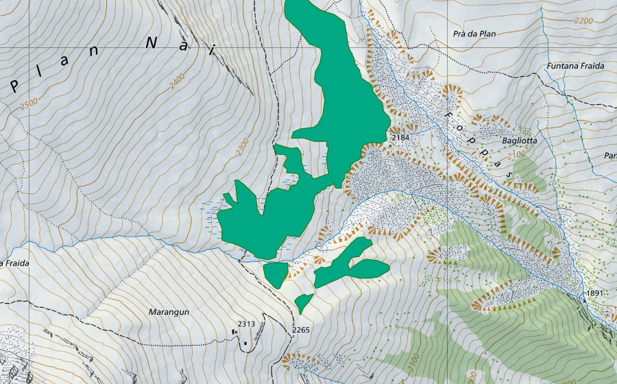 Landeskarte swisstopo mit dem Schutzperimeter von Plan Nai/Marangun (Flachmoor)