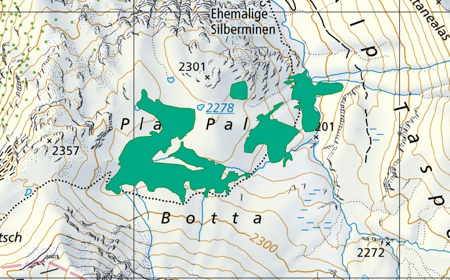 Carte nationale swisstopo avec le périmètre protégé de Plan Palé (Bas-marais)