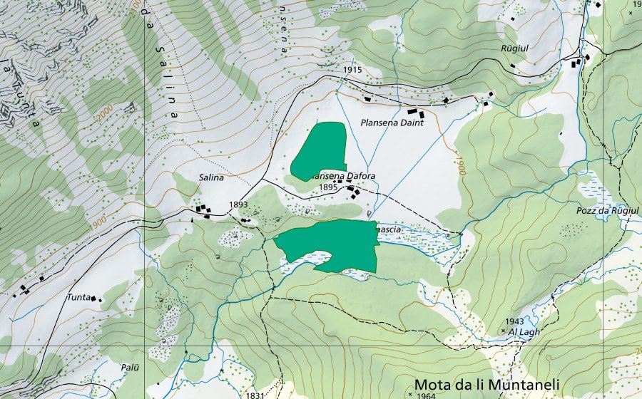 Carta nazionale swisstopo con il perimetro protetto di Plansena (Torbiera bassa)