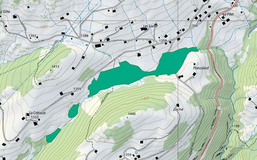 Carta nazionale swisstopo con il perimetro protetto di Planzalard (Torbiera bassa)