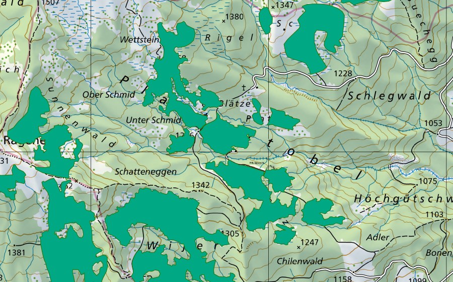 Landeskarte swisstopo mit dem Schutzperimeter von Platten (Flachmoor)
