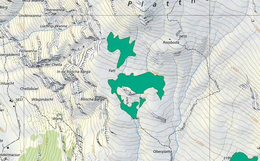 swisstopo national map showing the protected perimeter of Plattner Berga (Fen)
