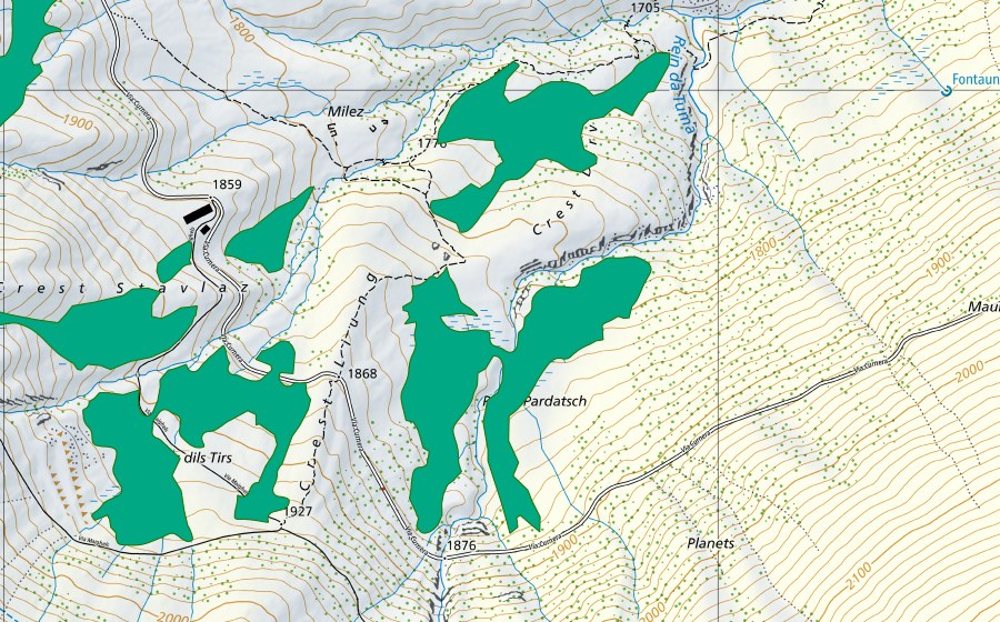 Landeskarte swisstopo mit dem Schutzperimeter von Plaun Pardatsch/Crest Darvun (Flachmoor)