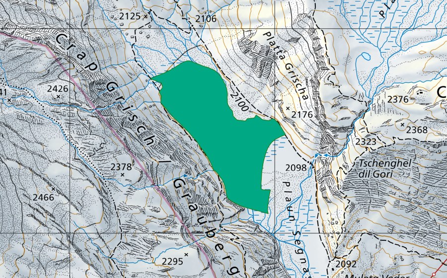 Carte nationale swisstopo avec le périmètre protégé de Plaun Segnas Sut (Bas-marais)