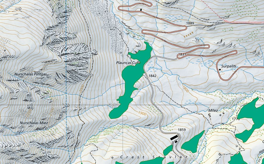 Carta nazionale swisstopo con il perimetro protetto di Plauncas Cuflegl (Torbiera bassa)