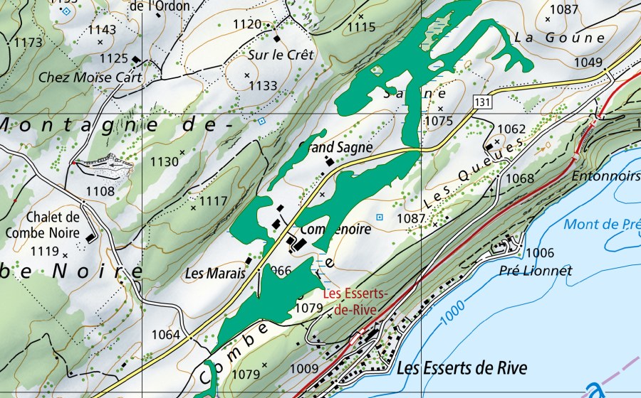 Landeskarte swisstopo mit dem Schutzperimeter von Pontet (Flachmoor)