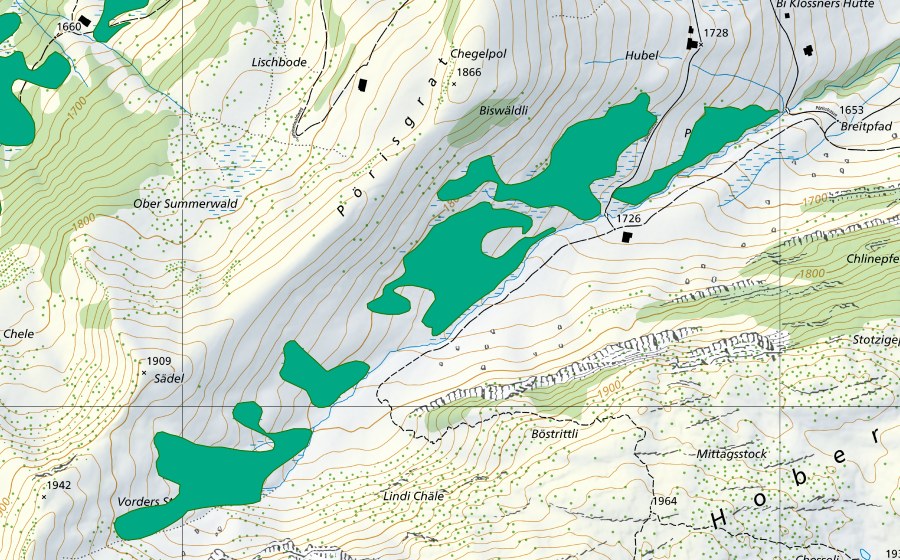 Carte nationale swisstopo avec le périmètre protégé de Pöris (Bas-marais)