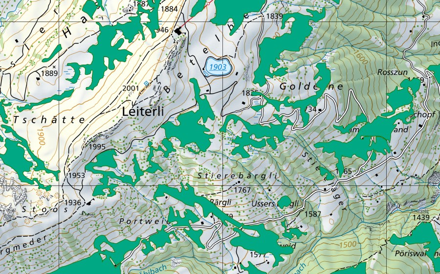 swisstopo national map showing the protected perimeter of Portweid Golderne (Fen)