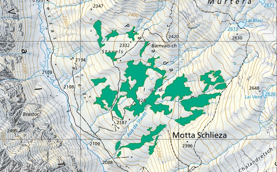 Carta nazionale swisstopo con il perimetro protetto di Prada da Tuoi (Torbiera bassa)
