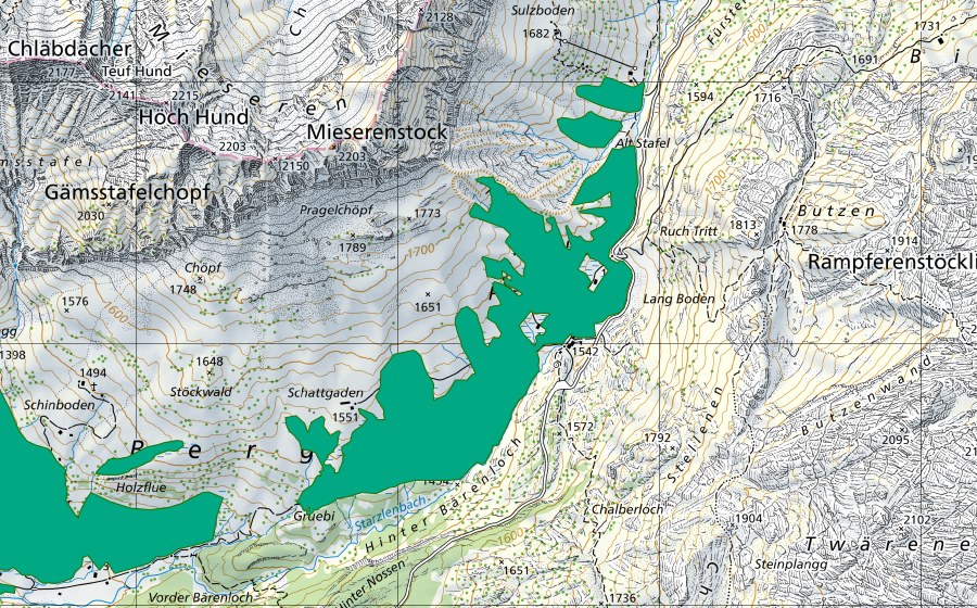 Landeskarte swisstopo mit dem Schutzperimeter von Pragel (Flachmoor)