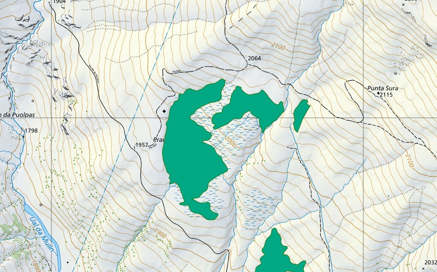 Landeskarte swisstopo mit dem Schutzperimeter von Prau Grass (Flachmoor)