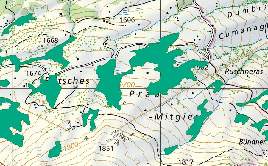 Landeskarte swisstopo mit dem Schutzperimeter von Prau Mitgiert (Flachmoor)