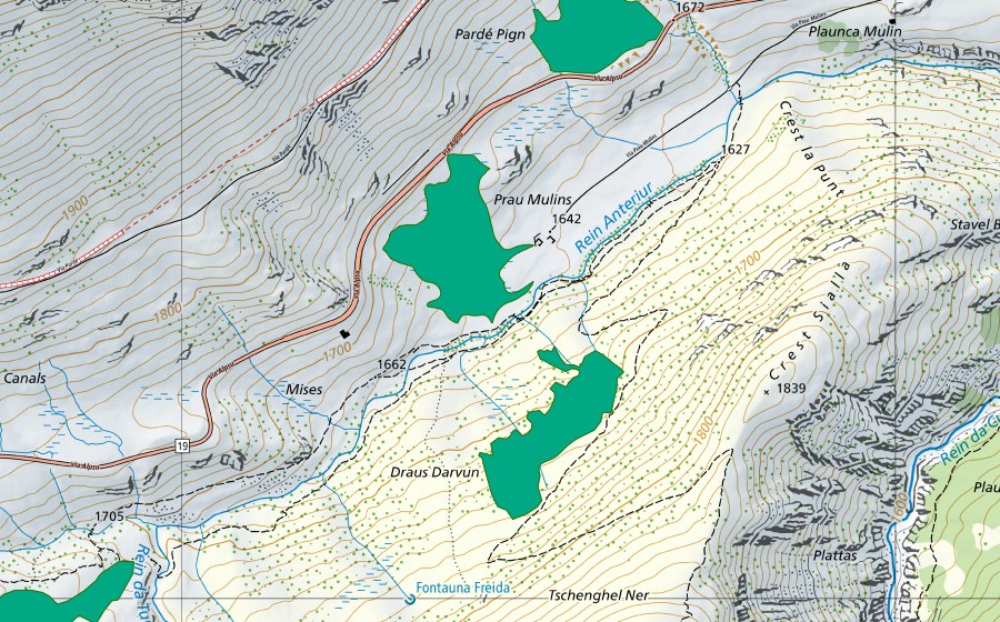 Landeskarte swisstopo mit dem Schutzperimeter von Prau Mulins (Flachmoor)