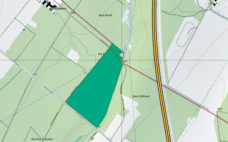 Landeskarte swisstopo mit dem Schutzperimeter von Pré Béroux (Flachmoor)