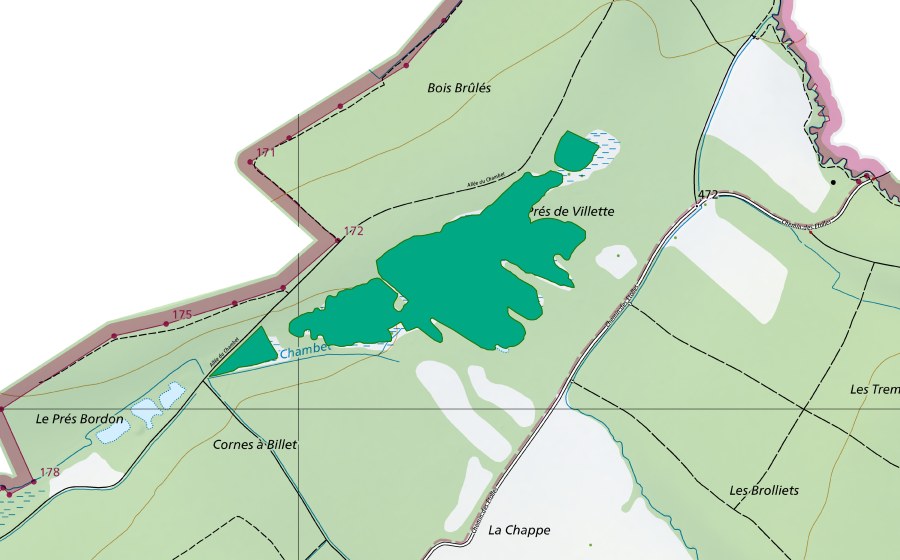 Landeskarte swisstopo mit dem Schutzperimeter von Prés de Villette (Flachmoor)