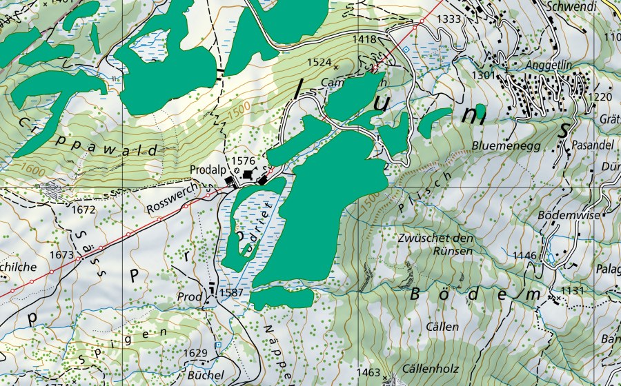 Landeskarte swisstopo mit dem Schutzperimeter von Prodriet (Flachmoor)