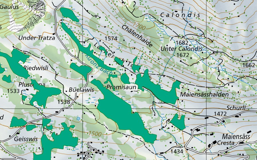 Carta nazionale swisstopo con il perimetro protetto di Promisaun (Torbiera bassa)