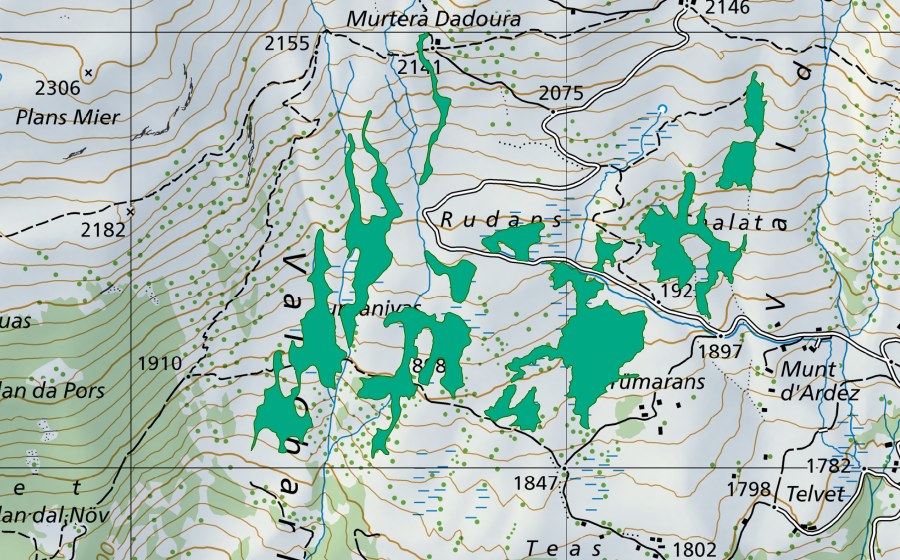 swisstopo national map showing the protected perimeter of Prümarans (Fen)