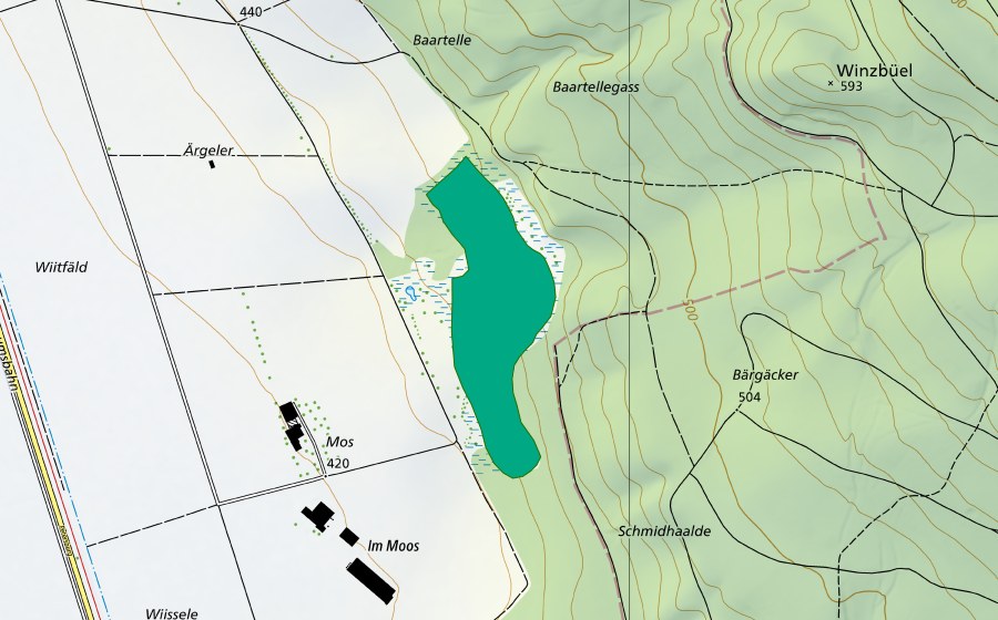 Carte nationale swisstopo avec le périmètre protégé de Ramser Moos (Bas-marais)