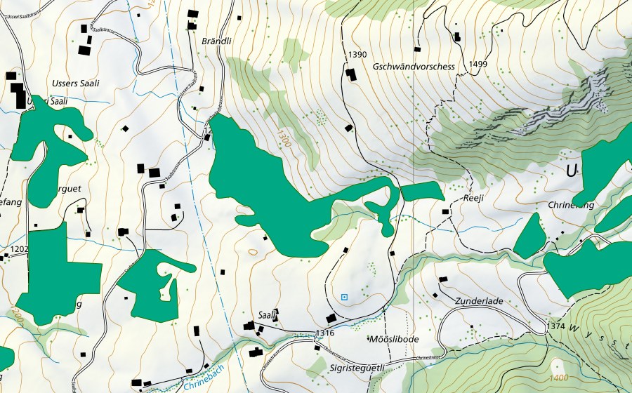 Landeskarte swisstopo mit dem Schutzperimeter von Reeji (Flachmoor)