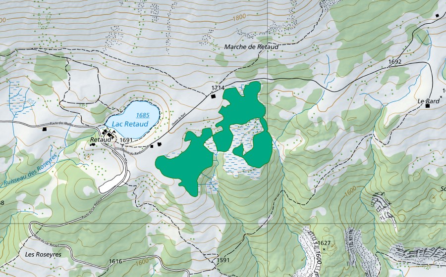 Carta nazionale swisstopo con il perimetro protetto di Retaud (Torbiera bassa)