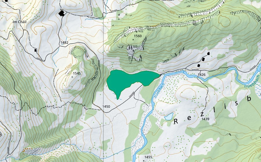 Carte nationale swisstopo avec le périmètre protégé de Rezliberg (Bas-marais)