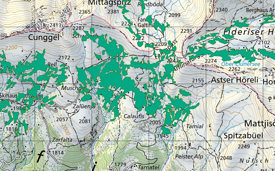 swisstopo national map showing the protected perimeter of Ried Faninpass (Fen)