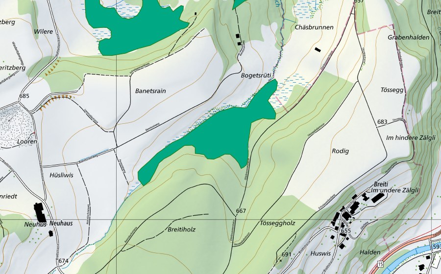 Landeskarte swisstopo mit dem Schutzperimeter von Ried Reinisbachtal (Flachmoor)