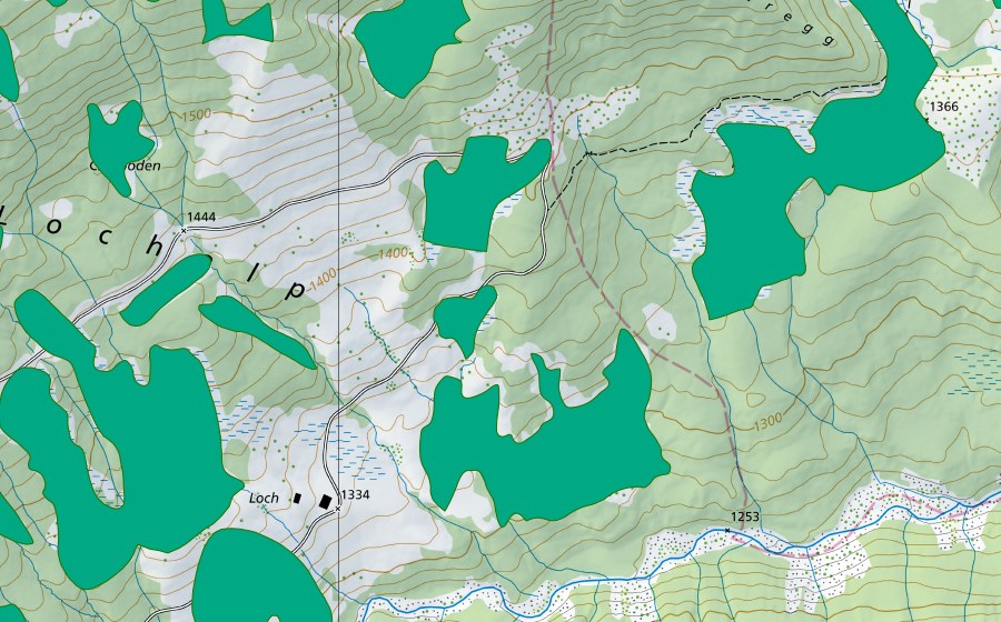 swisstopo national map showing the protected perimeter of Riedboden (Fen)