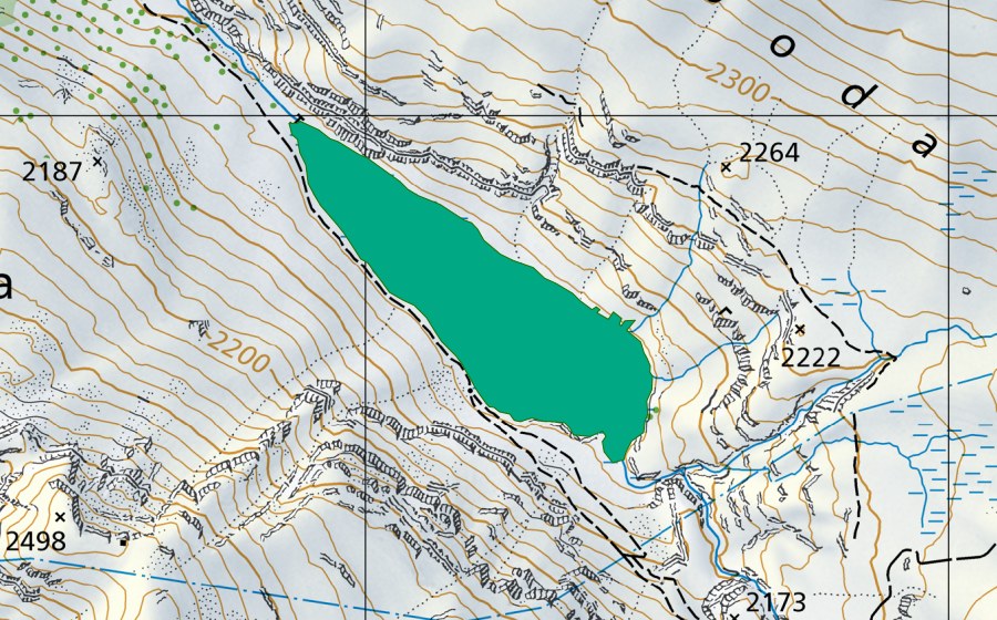 Landeskarte swisstopo mit dem Schutzperimeter von Riedboden (Flachmoor)