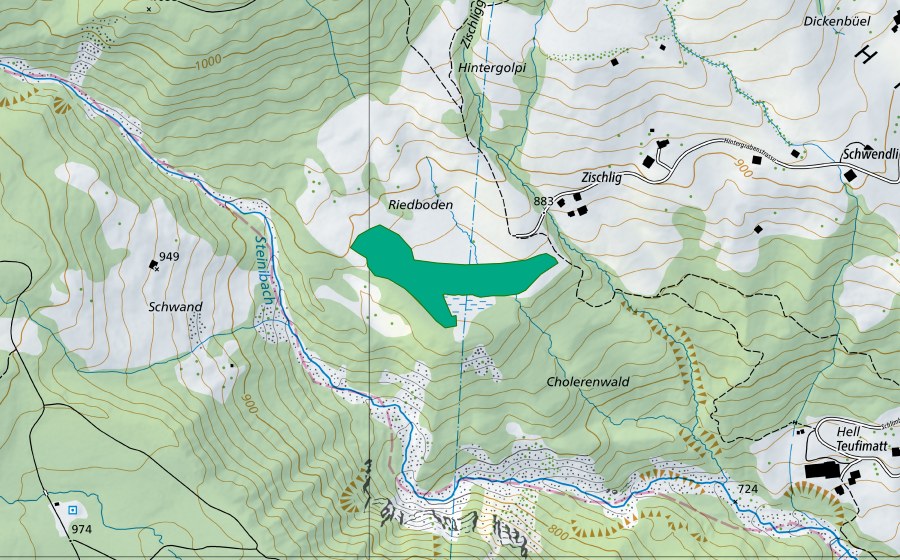 Landeskarte swisstopo mit dem Schutzperimeter von Riedboden bei Zischlig (Flachmoor)