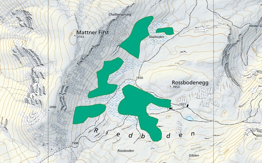 Landeskarte swisstopo mit dem Schutzperimeter von Riedboden/Galtenäbnet (Flachmoor)