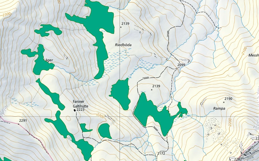 Landeskarte swisstopo mit dem Schutzperimeter von Riedböden (Flachmoor)