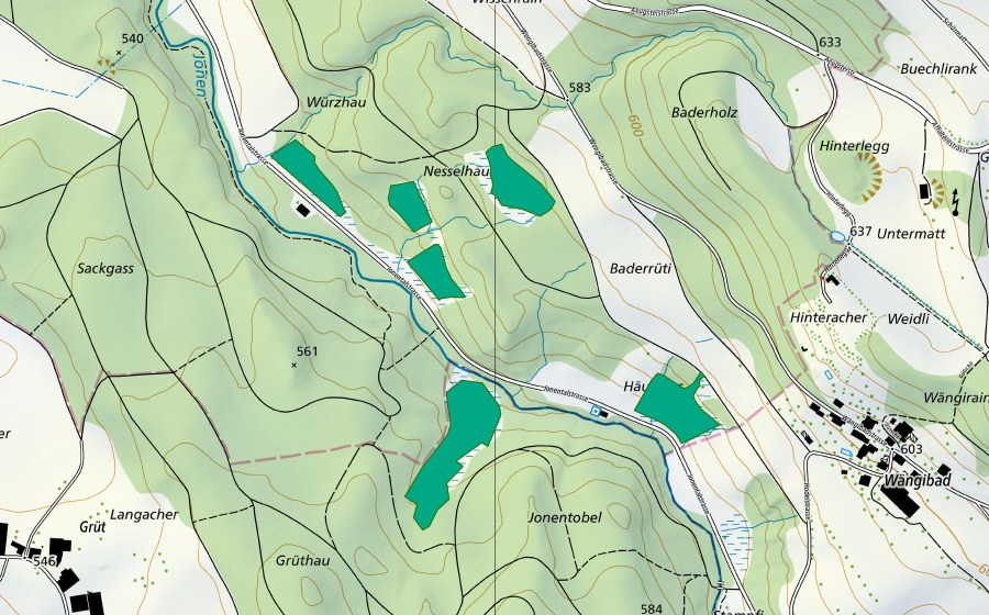 swisstopo national map showing the protected perimeter of Riede im Jonental (Fen)