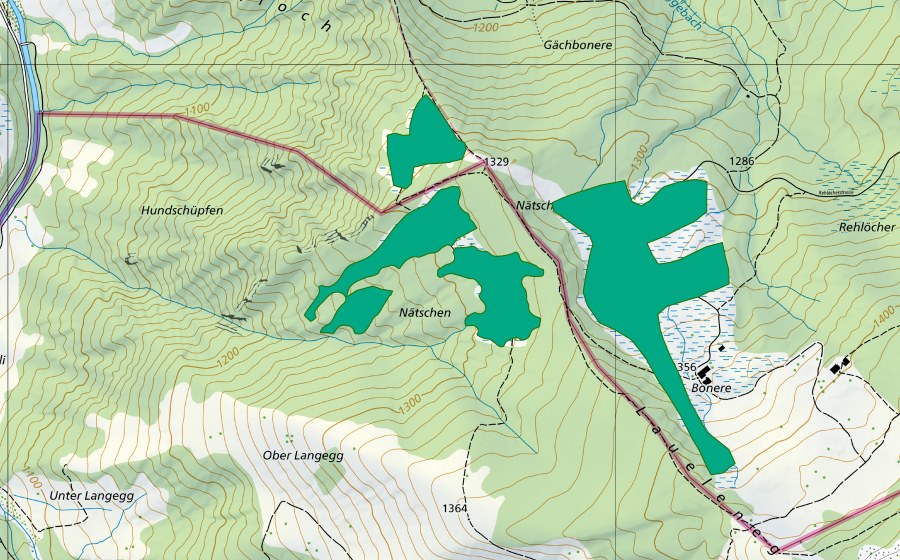 Landeskarte swisstopo mit dem Schutzperimeter von Riede um Boneren (Flachmoor)
