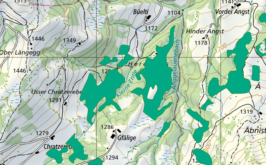 Landeskarte swisstopo mit dem Schutzperimeter von Riede von Herrenmoos (Flachmoor)