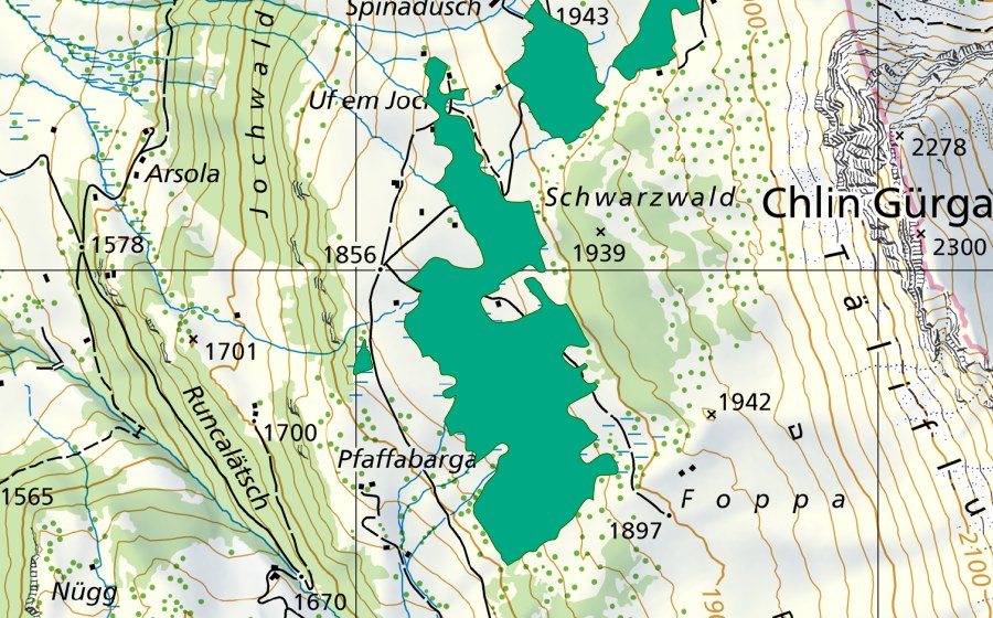 Landeskarte swisstopo mit dem Schutzperimeter von Riede westlich Schwarzwald (Flachmoor)