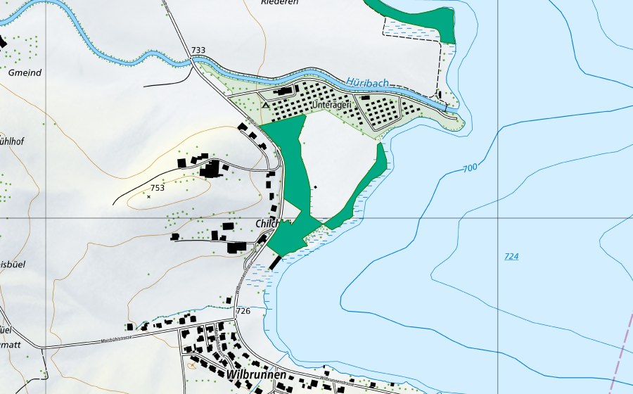 Carte nationale swisstopo avec le périmètre protégé de Riederen II (Bas-marais)