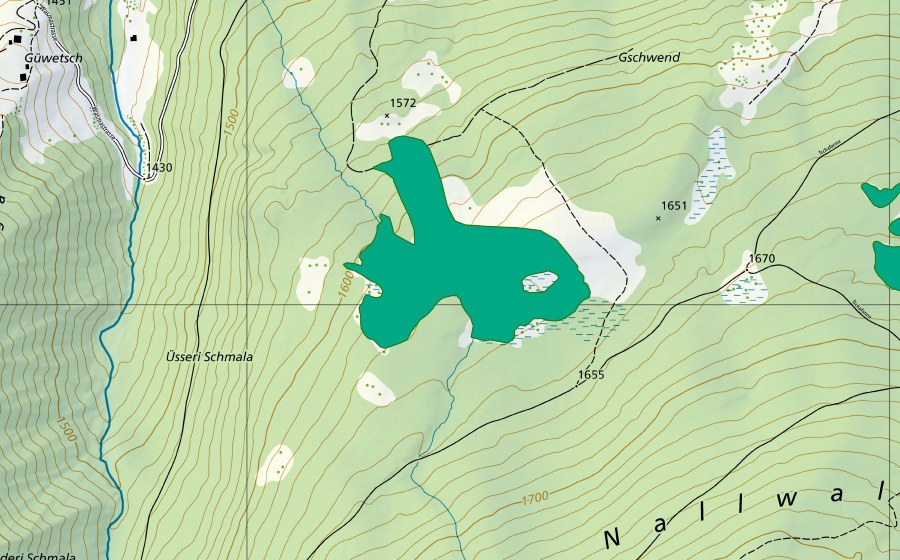 swisstopo national map showing the protected perimeter of Riederen (Fen)