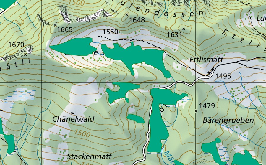 swisstopo national map showing the protected perimeter of Riedzöpf (Fen)