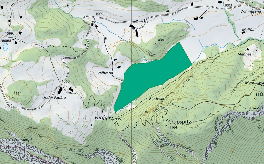 Carte nationale swisstopo avec le périmètre protégé de Riet (Fadära) (Bas-marais)