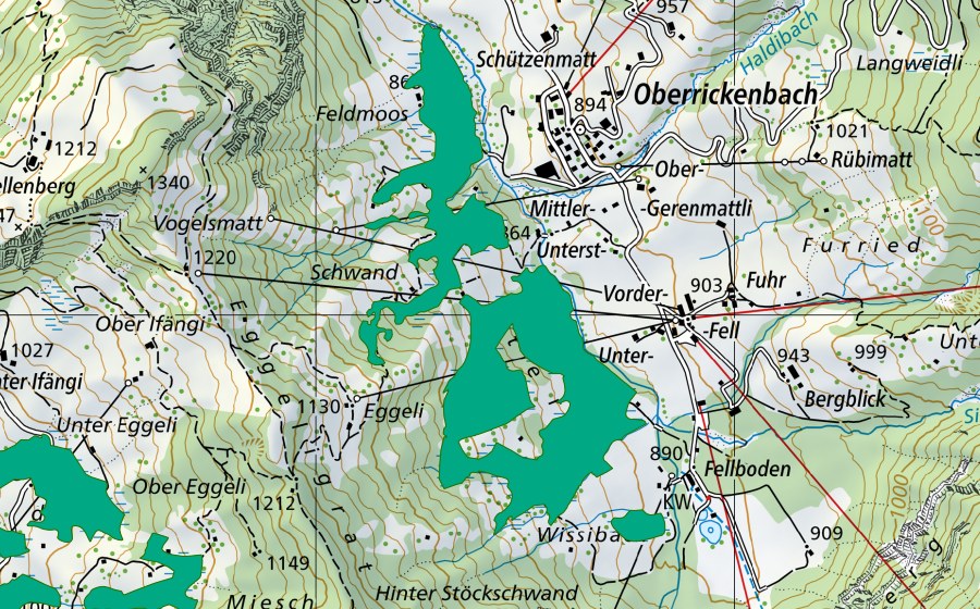 Carte nationale swisstopo avec le périmètre protégé de Rieter bei Oberrickenbach (Bas-marais)