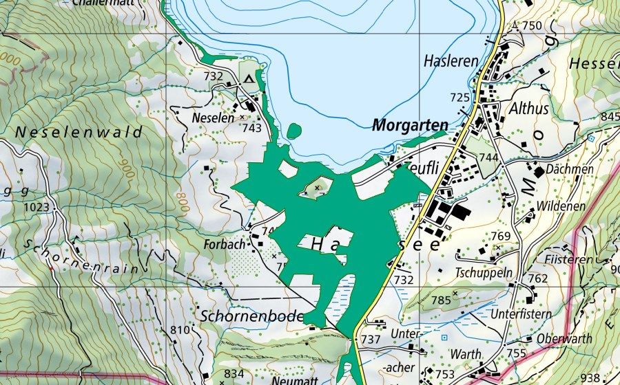 Landeskarte swisstopo mit dem Schutzperimeter von Rieter/Sagen/Neselen (Flachmoor)