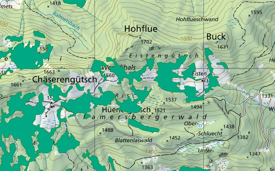 swisstopo national map showing the protected perimeter of Rischi (Fen)