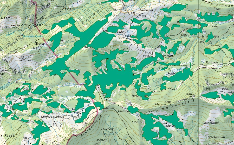 Landeskarte swisstopo mit dem Schutzperimeter von Rischigenmatt/Chrüzliegg (Flachmoor)